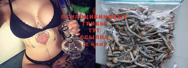 тгк Кодинск