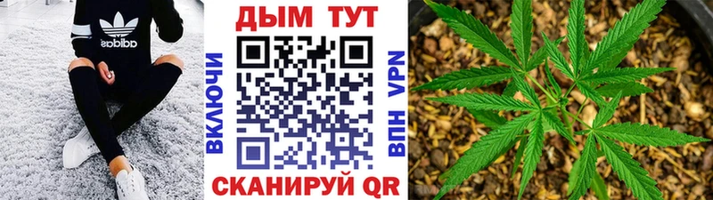 Купить закладки  Заинск  Конопля тримм 